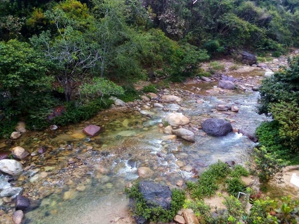 Casa Rio Cuale And River Retreat Puerto Vallarta Exteriör bild